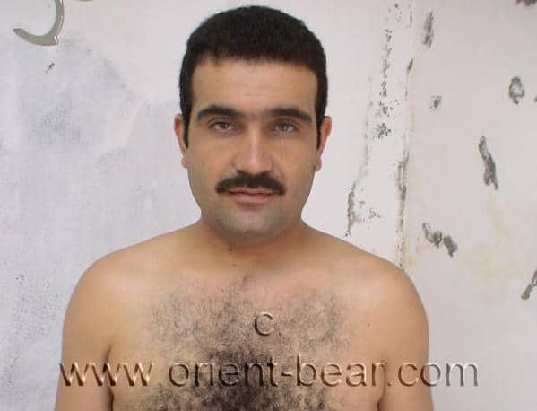 Hairy Turkish Bear