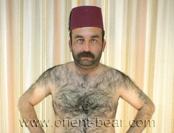 Naked Older Turkish Bear