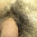 %naked hairy turk%