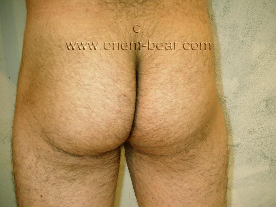 hairy turkish daddy