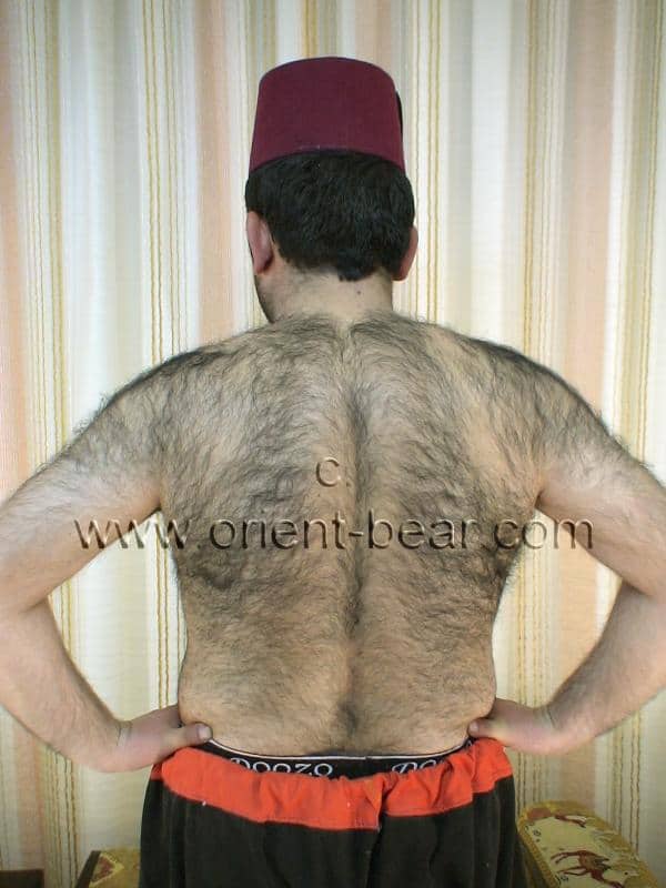 naked older türkish bear